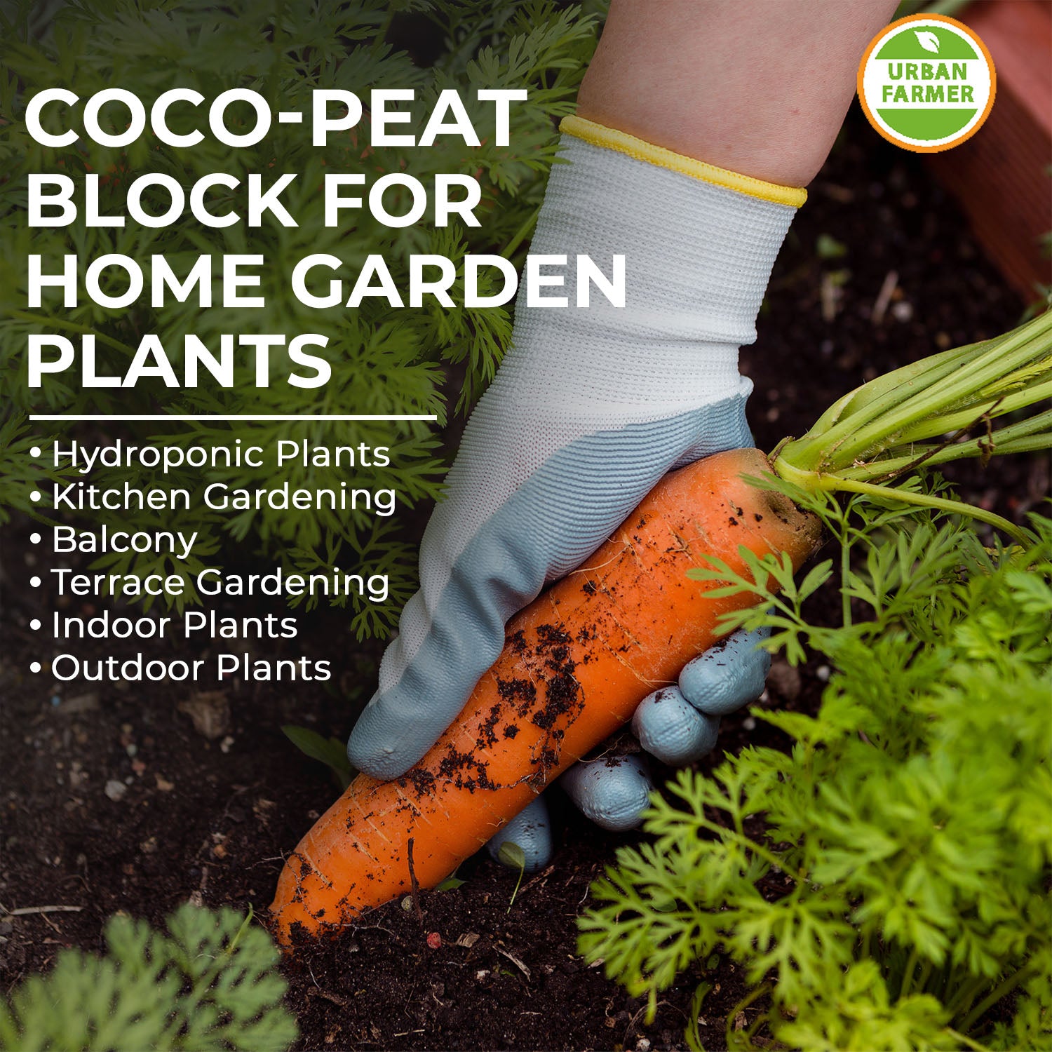 Coco Peat ( Pack of 1  1kg brick)