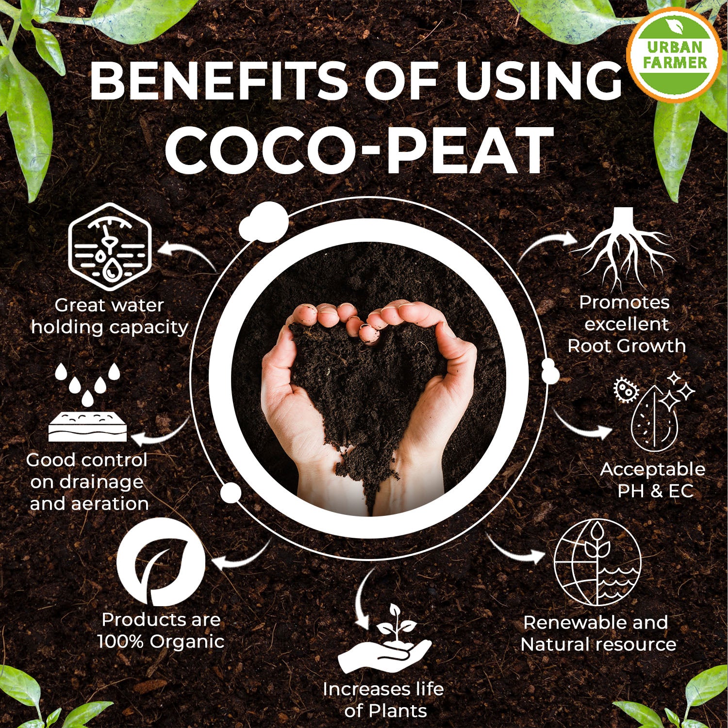 Coco Peat