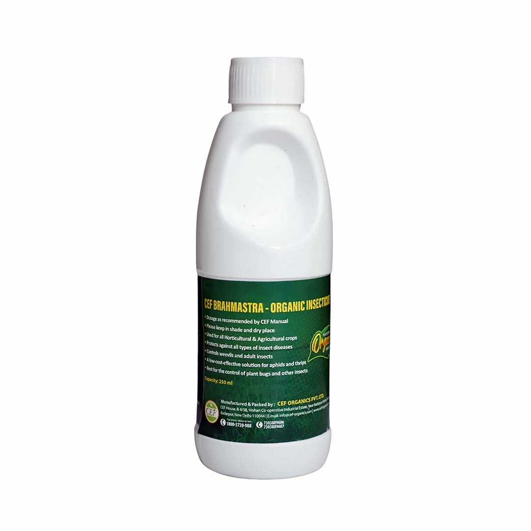 CEF ORGANIC INSECTISIDE -BRAMHASTRA
