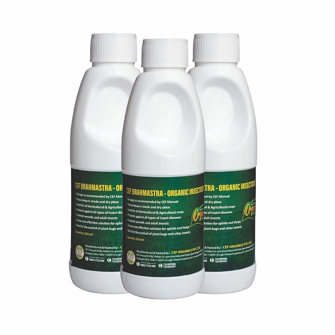 CEF ORGANIC INSECTISIDE -BRAMHASTRA