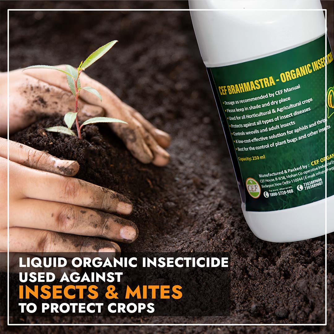 CEF ORGANIC INSECTISIDE -BRAMHASTRA