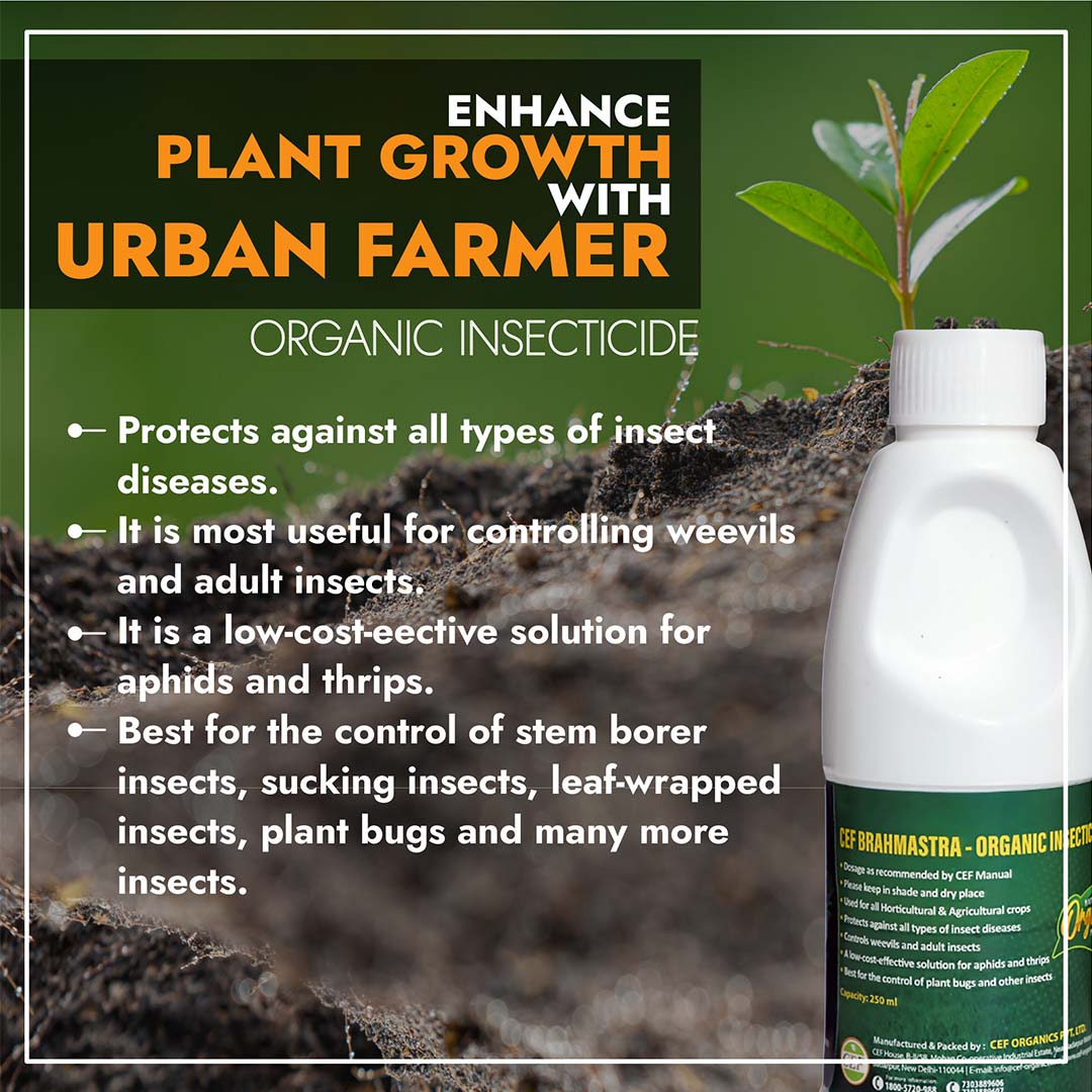 CEF ORGANIC INSECTISIDE -BRAMHASTRA