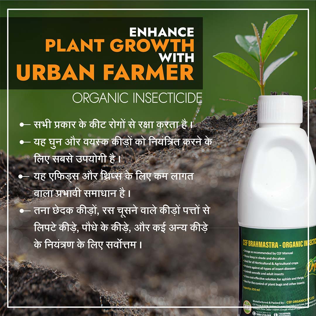 CEF ORGANIC INSECTISIDE -BRAMHASTRA