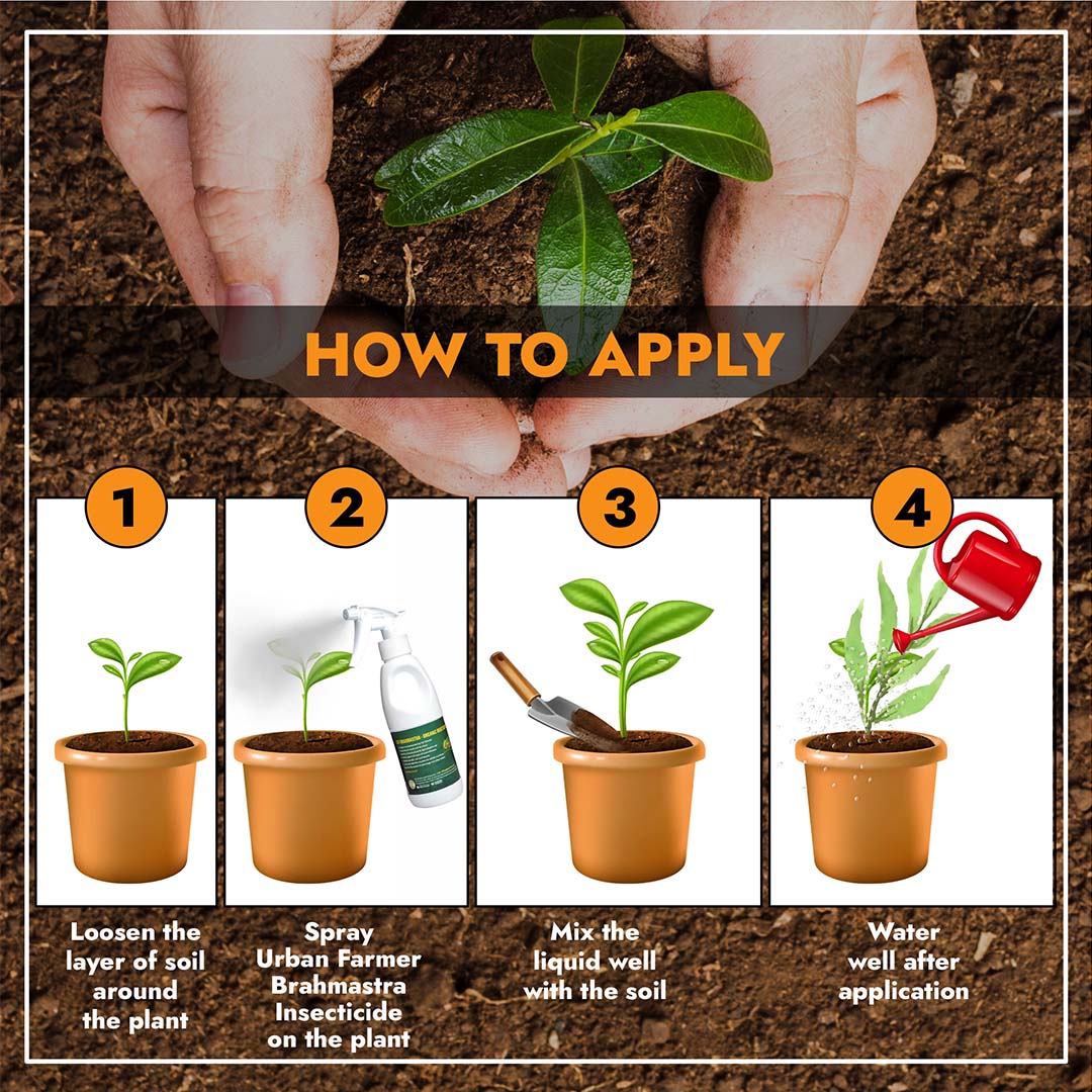 CEF ORGANIC INSECTISIDE -BRAMHASTRA