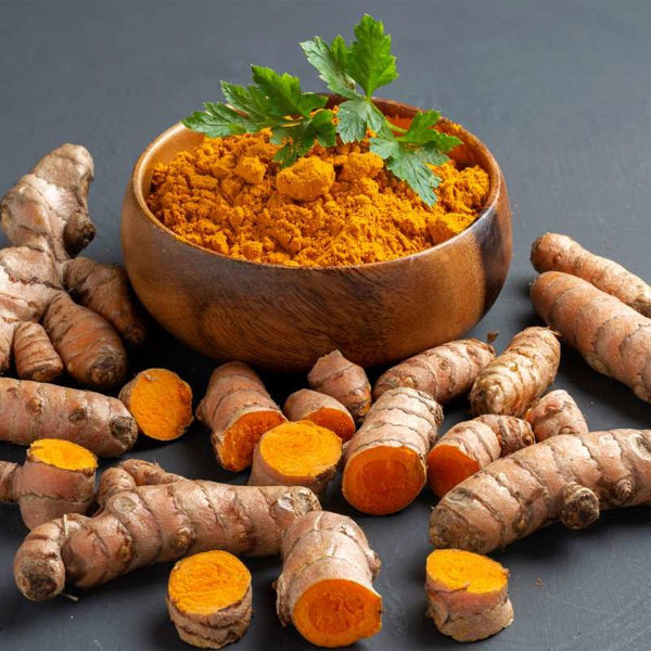 Haldi (Curcuma longa)