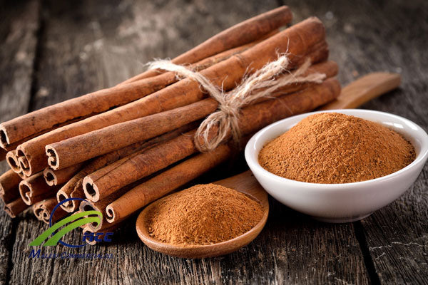 Cinnamon (Cinnamomum verum)