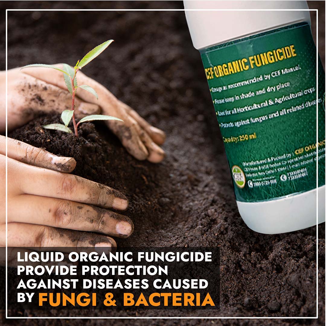 CEF ORGANIC FUNGICIDE-Kawaknasi