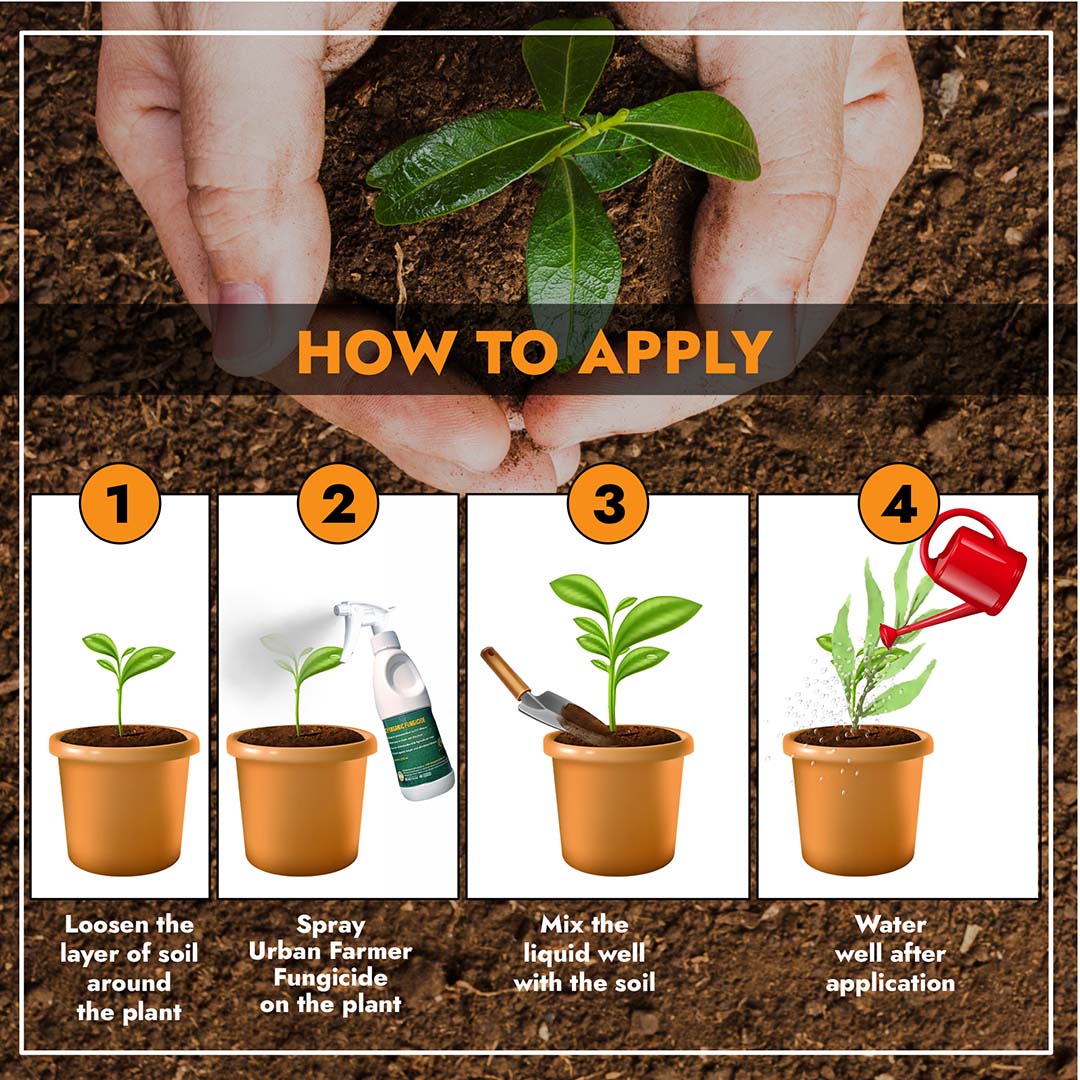 CEF ORGANIC FUNGICIDE-Kawaknasi