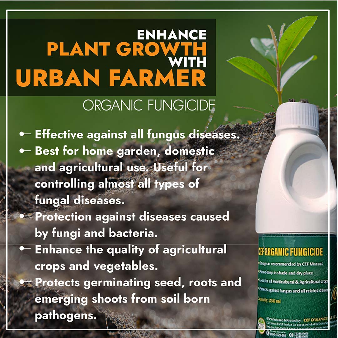 CEF ORGANIC FUNGICIDE-Kawaknasi