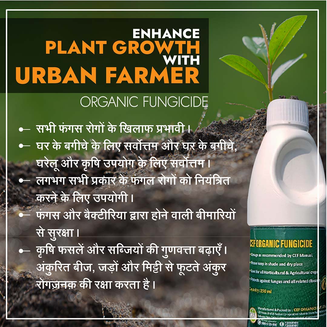 CEF ORGANIC FUNGICIDE-Kawaknasi