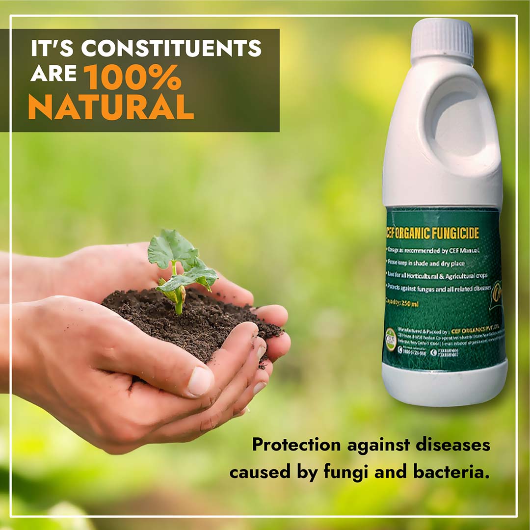 CEF ORGANIC FUNGICIDE-Kawaknasi