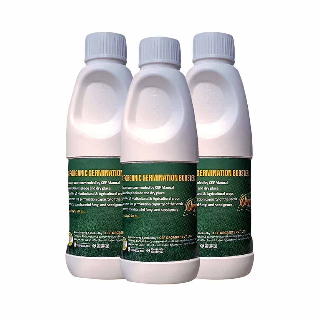 CEF GERMINATION BOOSTER