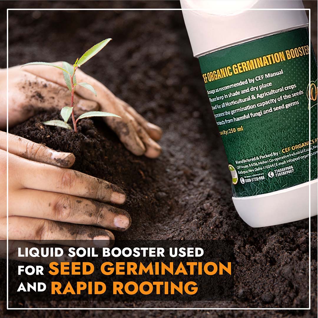 CEF GERMINATION BOOSTER