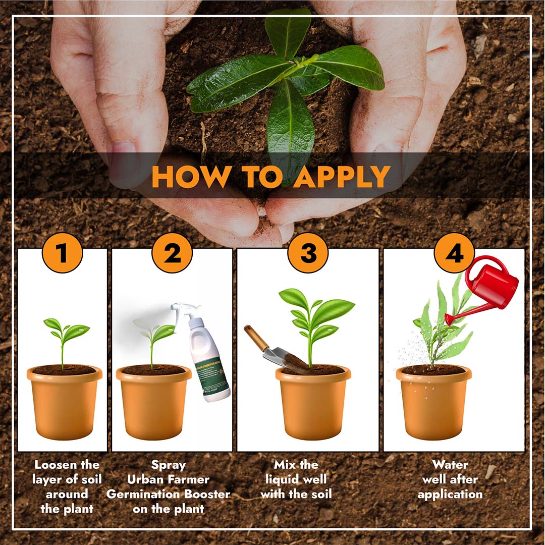 CEF GERMINATION BOOSTER