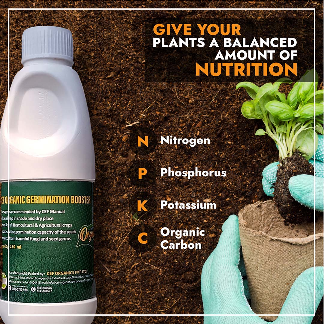 CEF GERMINATION BOOSTER