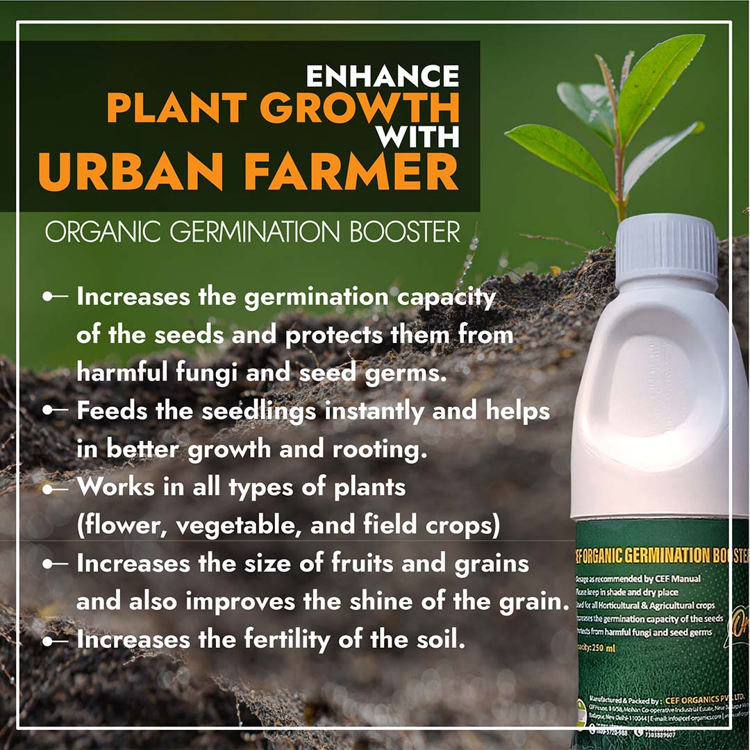 CEF GERMINATION BOOSTER