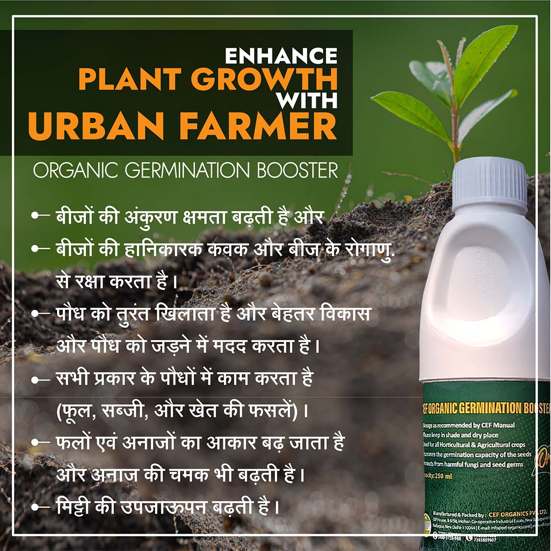 CEF GERMINATION BOOSTER