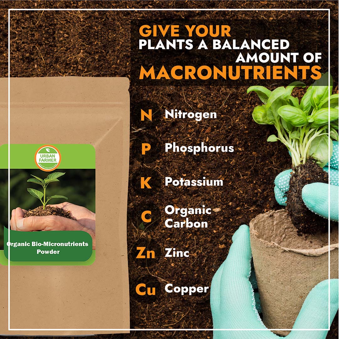 Micronutrients Powder