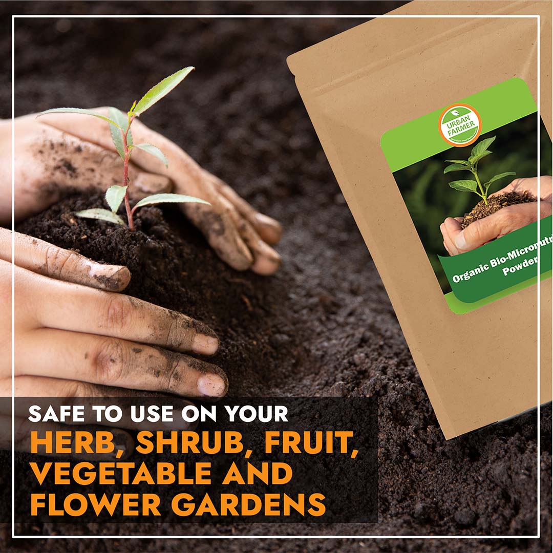 Micronutrients Powder