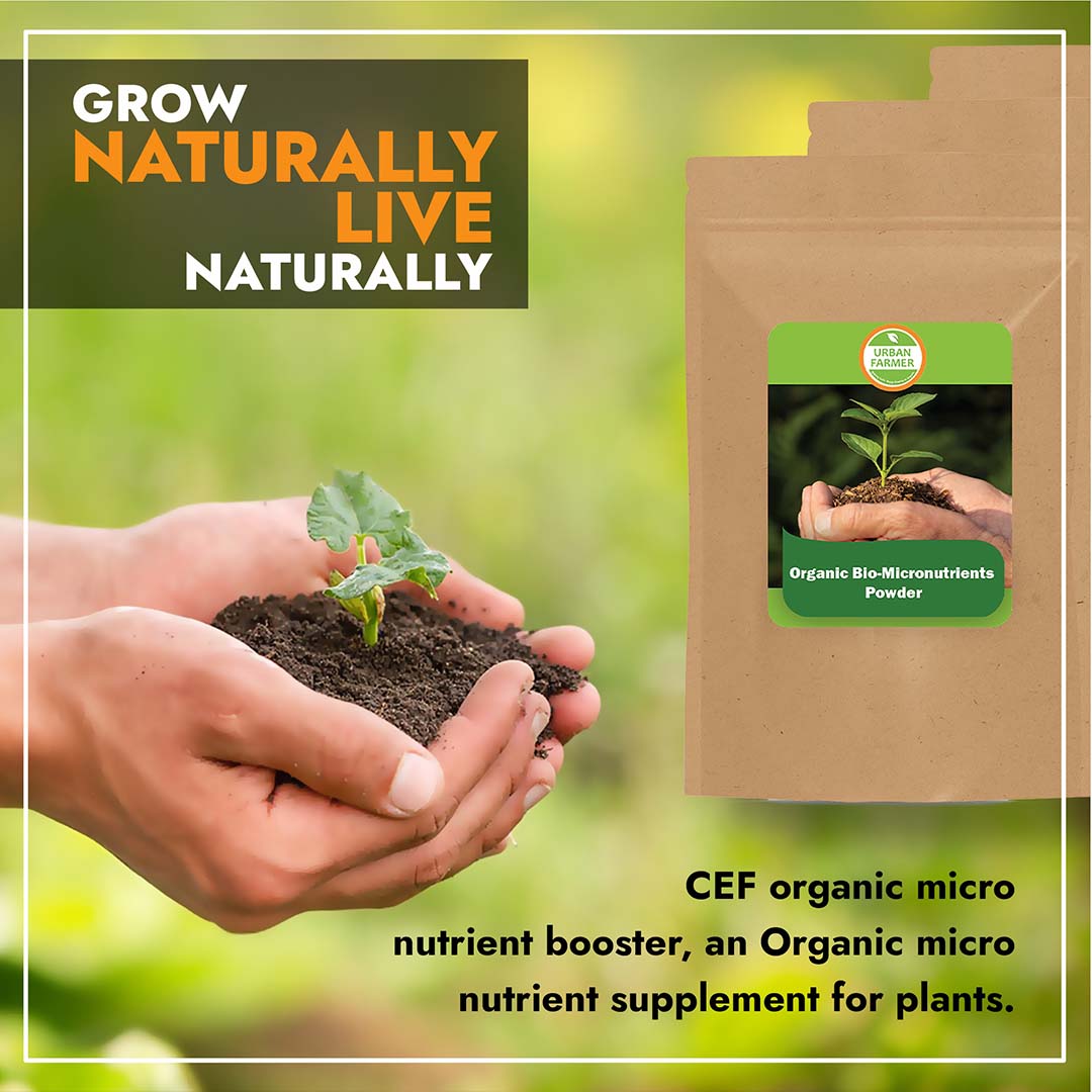 Micronutrients Powder