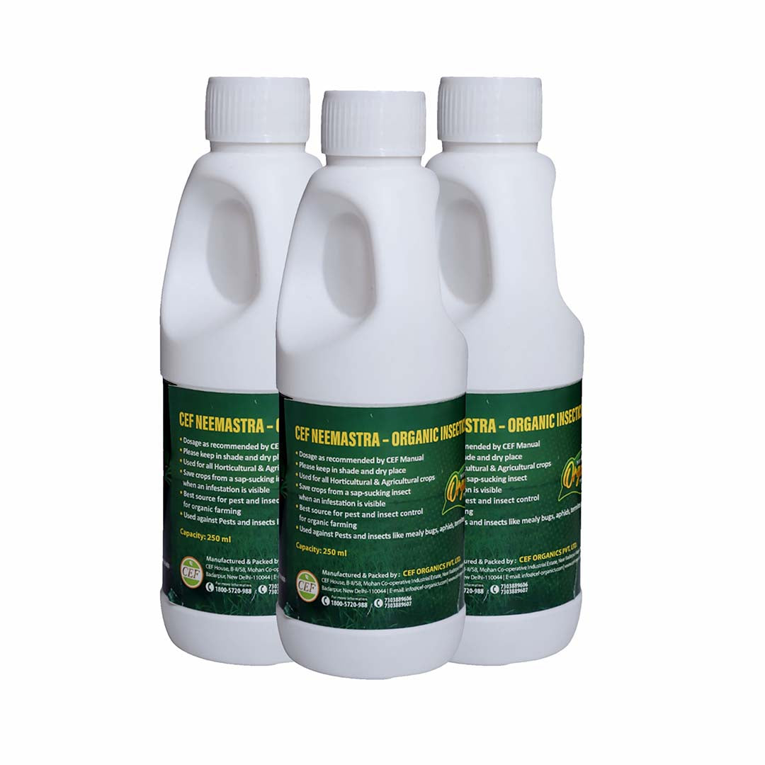 CEF ORGANIC INSECTISIDE-NEEMASTRA