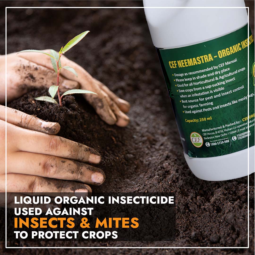 CEF ORGANIC INSECTISIDE-NEEMASTRA