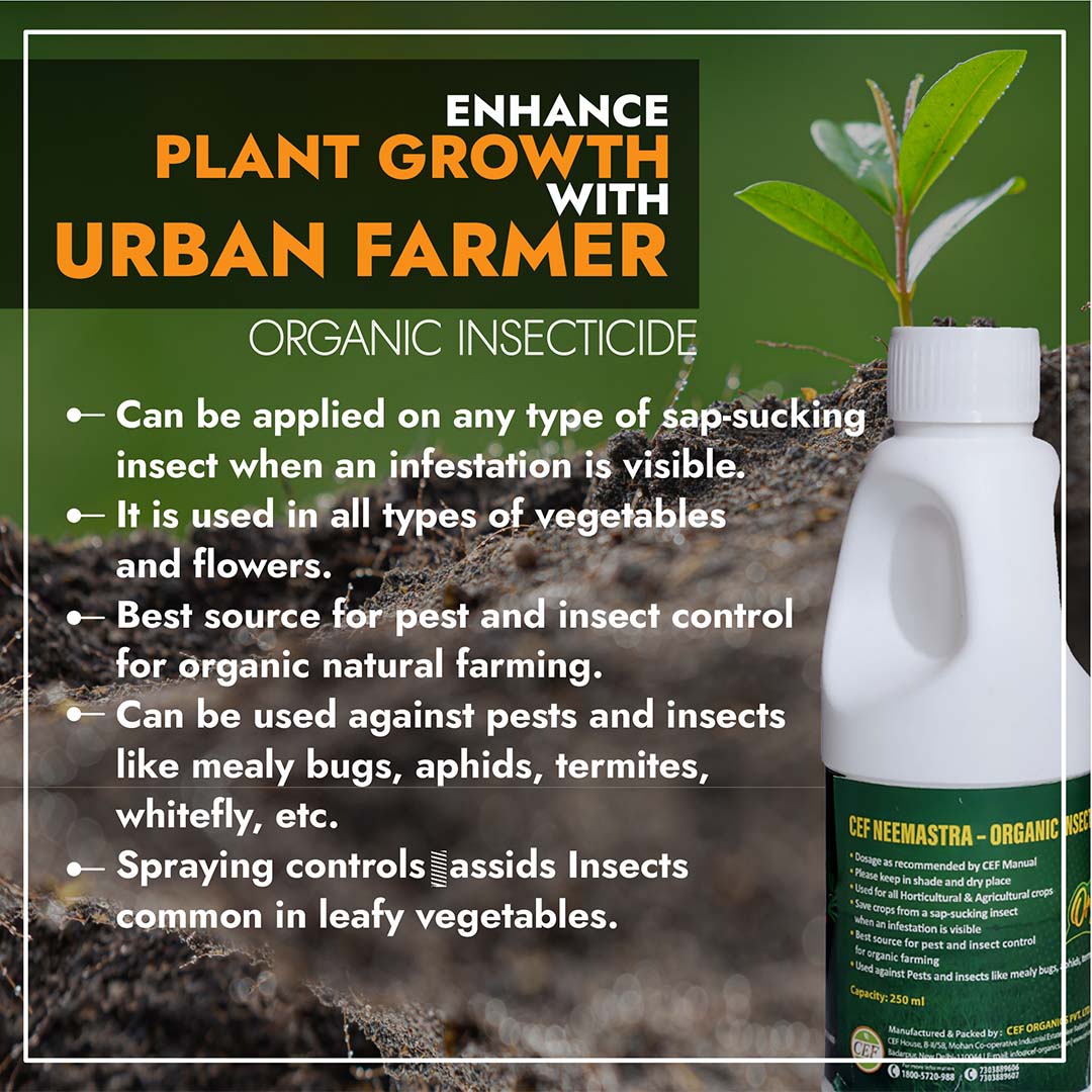 CEF ORGANIC INSECTISIDE-NEEMASTRA