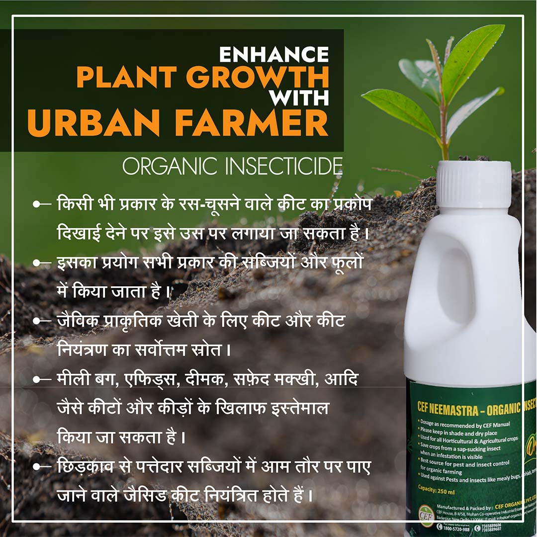 CEF ORGANIC INSECTISIDE-NEEMASTRA
