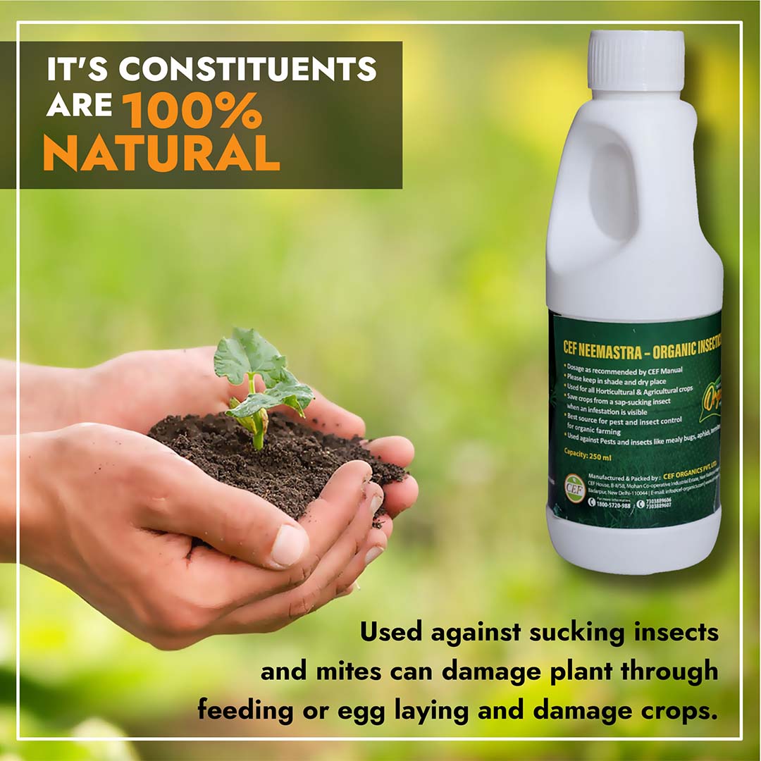 CEF ORGANIC INSECTISIDE-NEEMASTRA