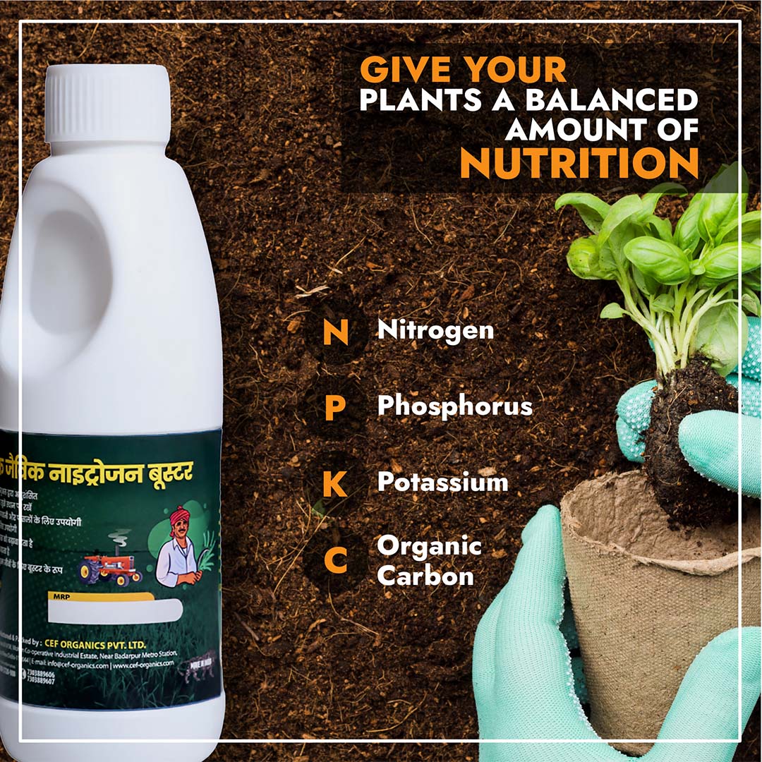 CEF ORGANIC NITROGEN BOOSTER