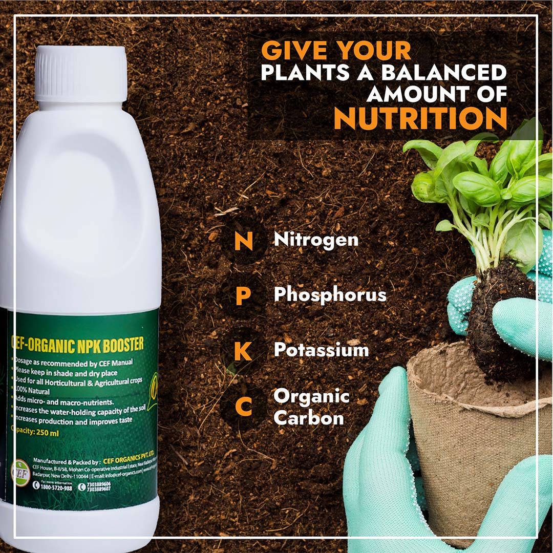 CEF ORGANIC NPK BOOSTER
