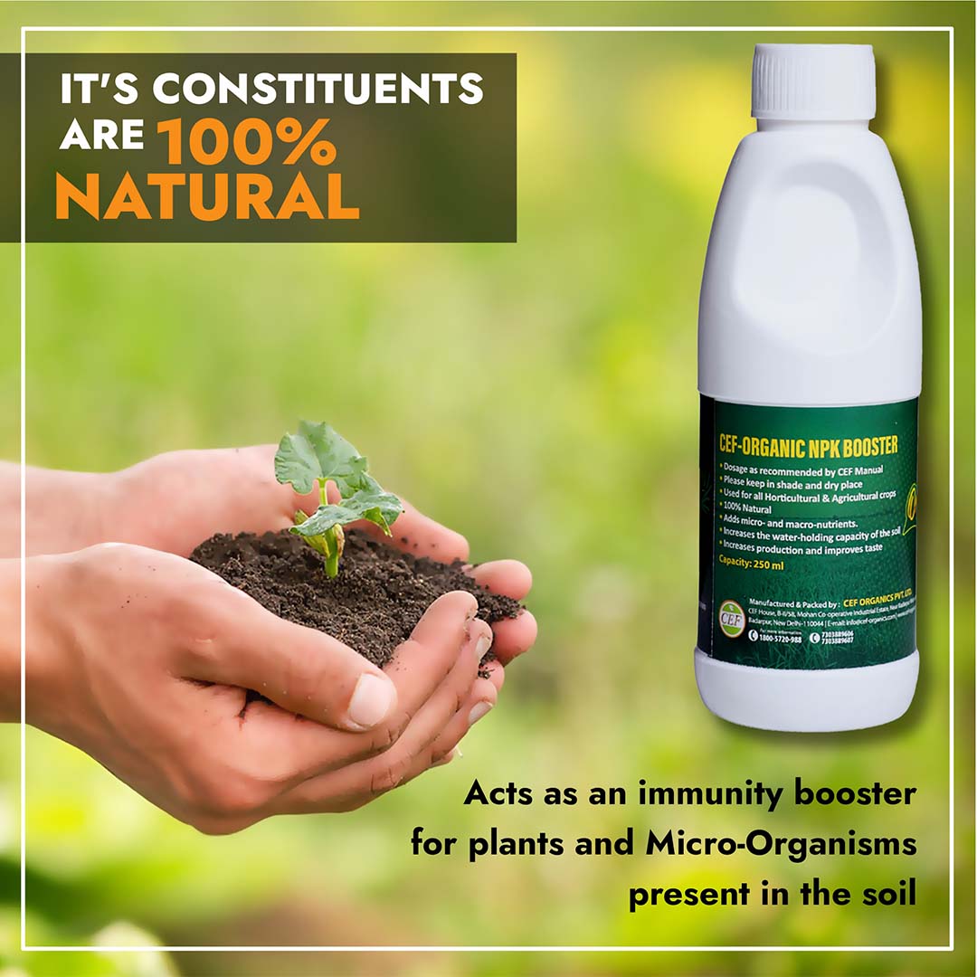 CEF ORGANIC NPK BOOSTER