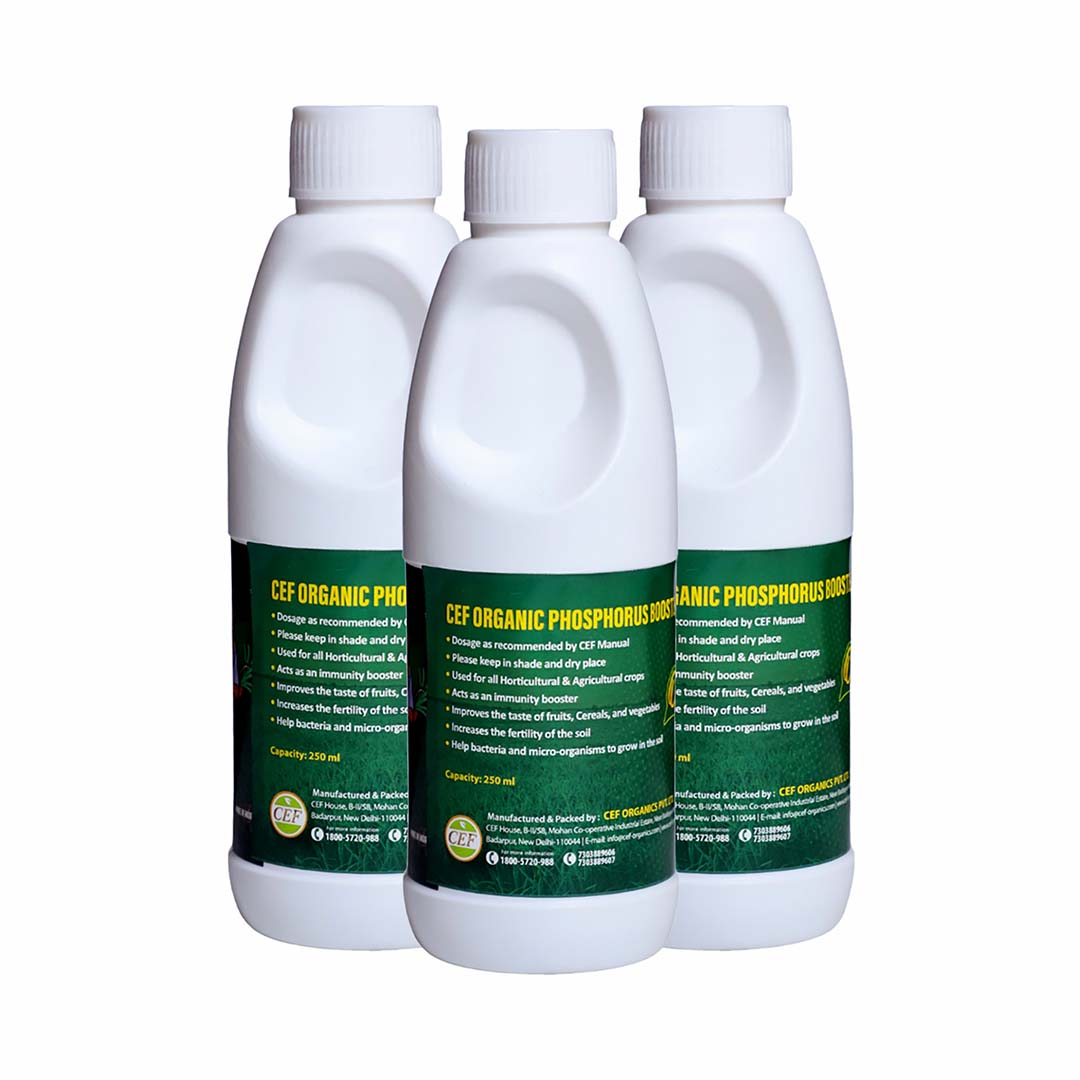 CEF ORGANIC PHOSPHOROUS BOOSTER