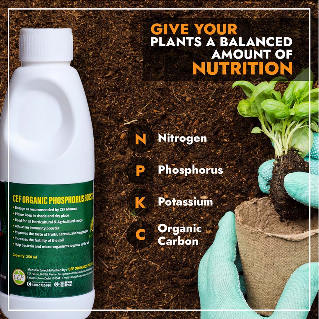 CEF ORGANIC PHOSPHOROUS BOOSTER