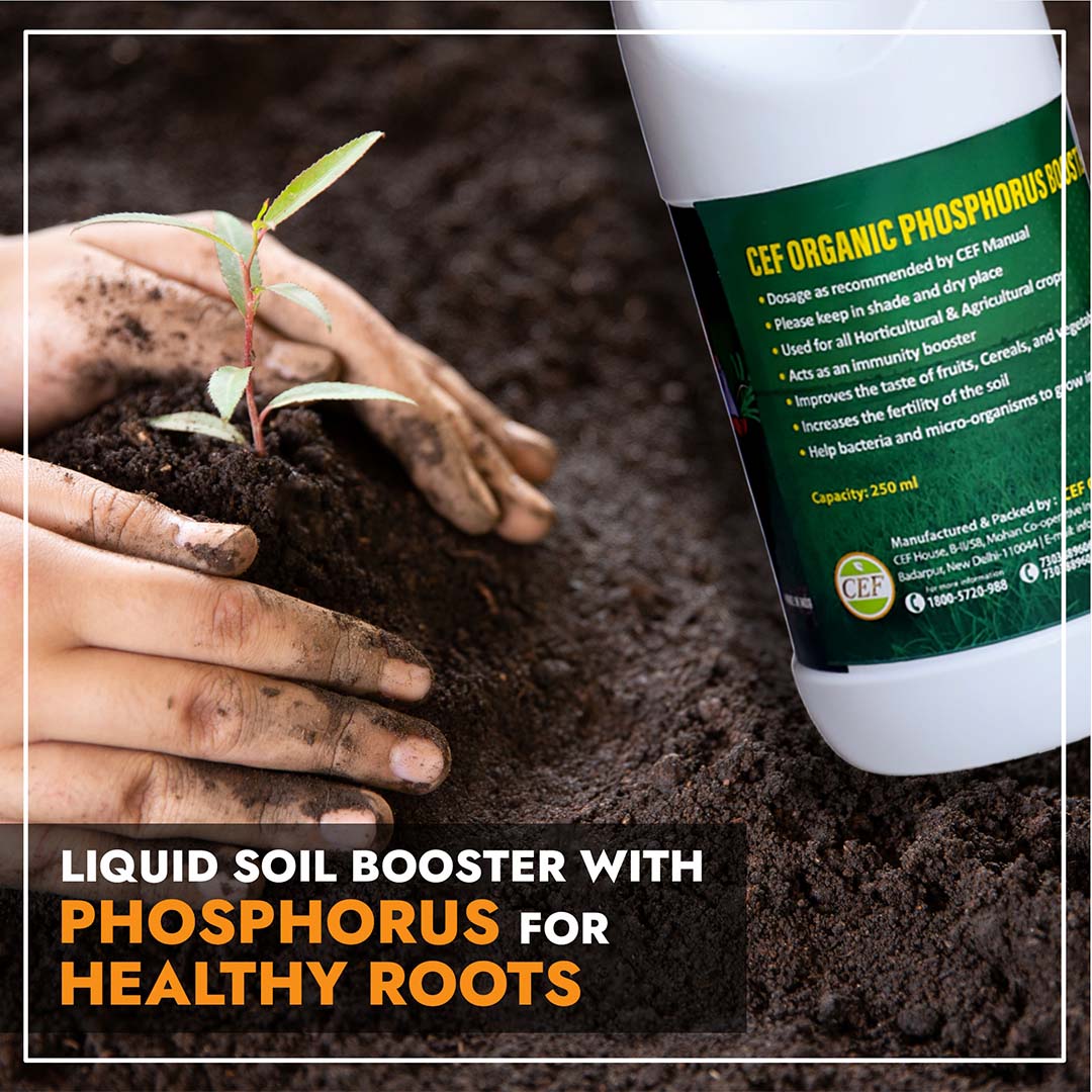 CEF ORGANIC PHOSPHOROUS BOOSTER