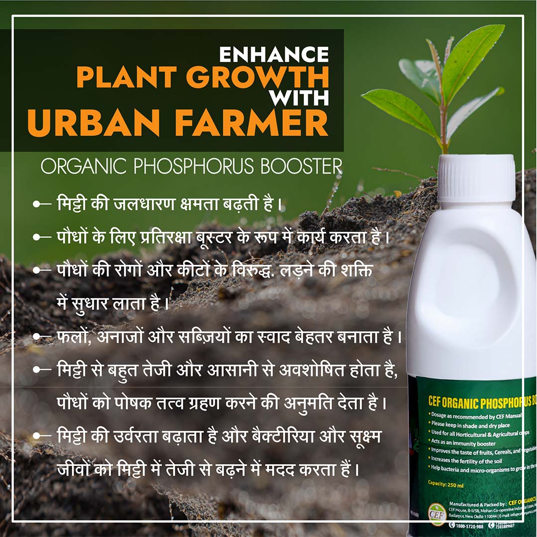 CEF ORGANIC PHOSPHOROUS BOOSTER