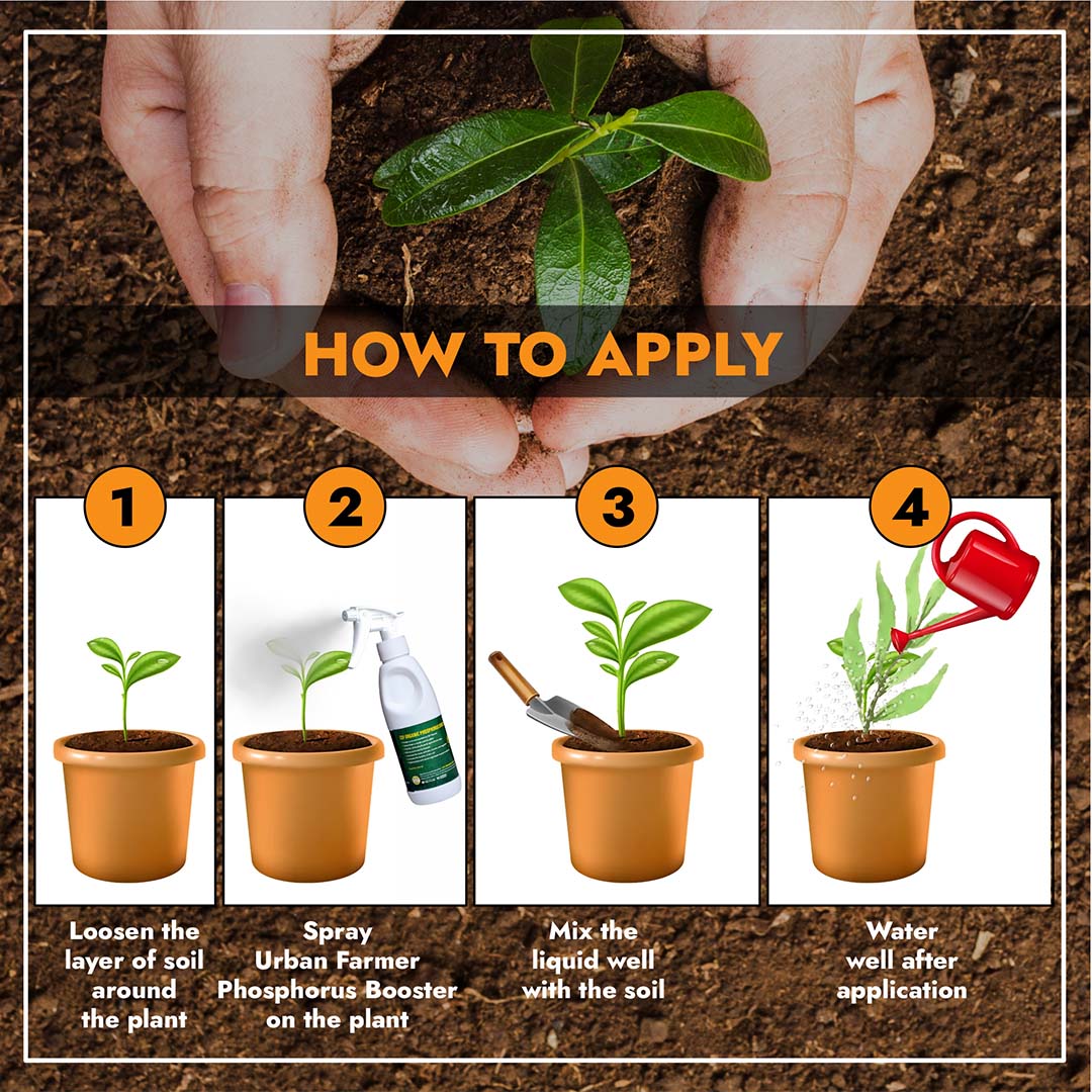 CEF ORGANIC PHOSPHOROUS BOOSTER