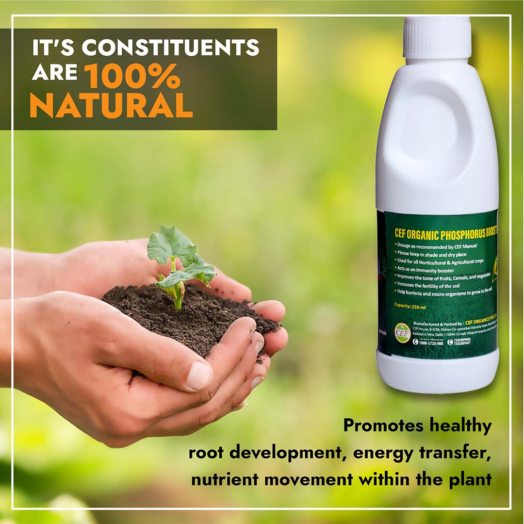 CEF ORGANIC PHOSPHOROUS BOOSTER