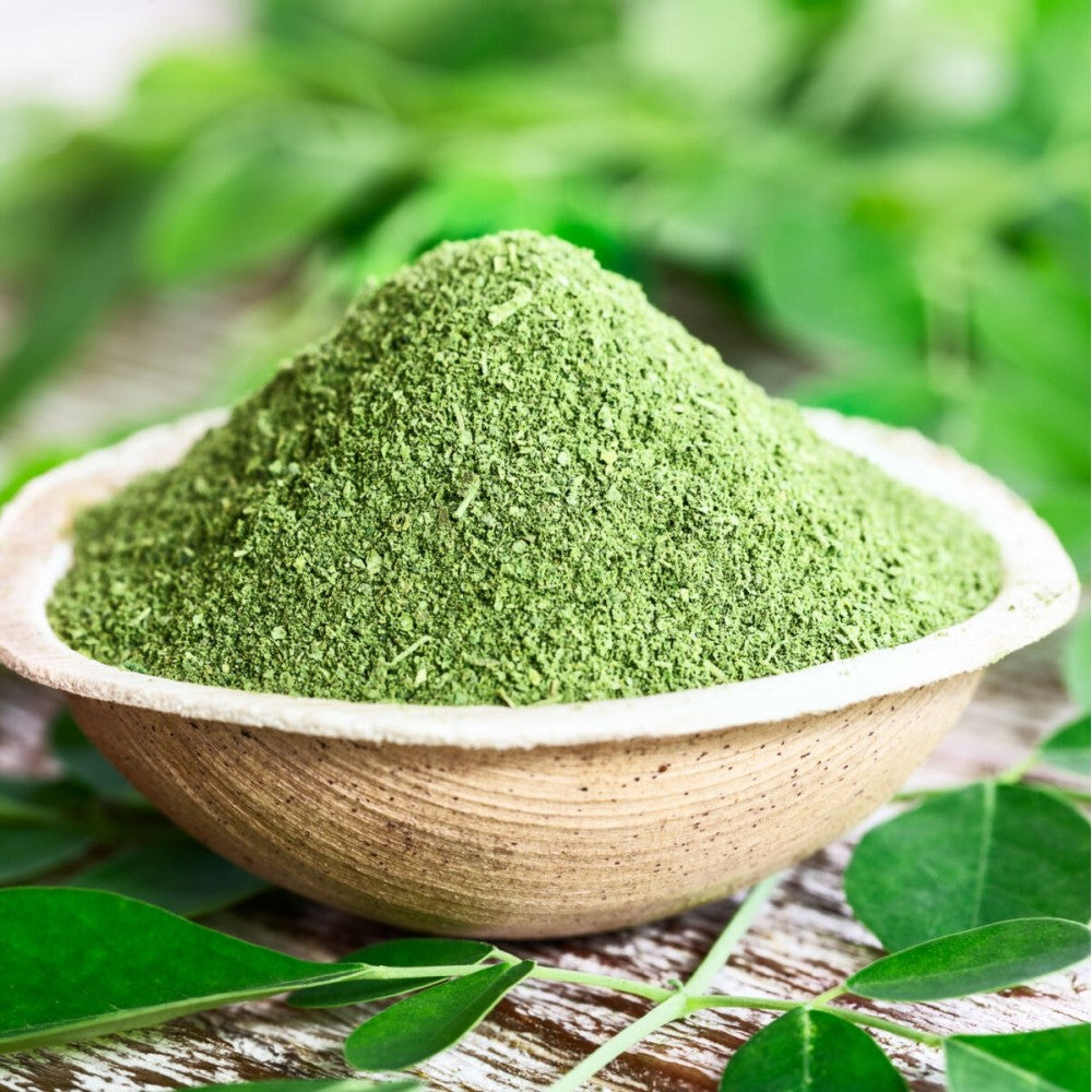 Moringa (Moringa oleifera)